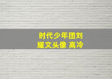 时代少年团刘耀文头像 高冷